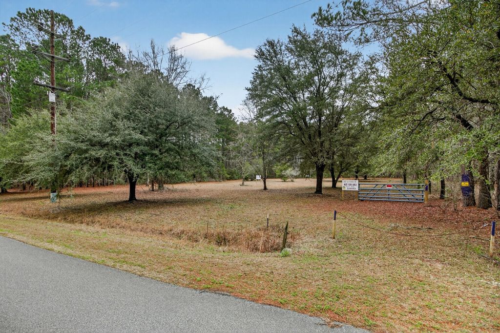 Photo of 1152 Witherbee Road, Moncks Corner, SC 29461 (MLS # 26005976)