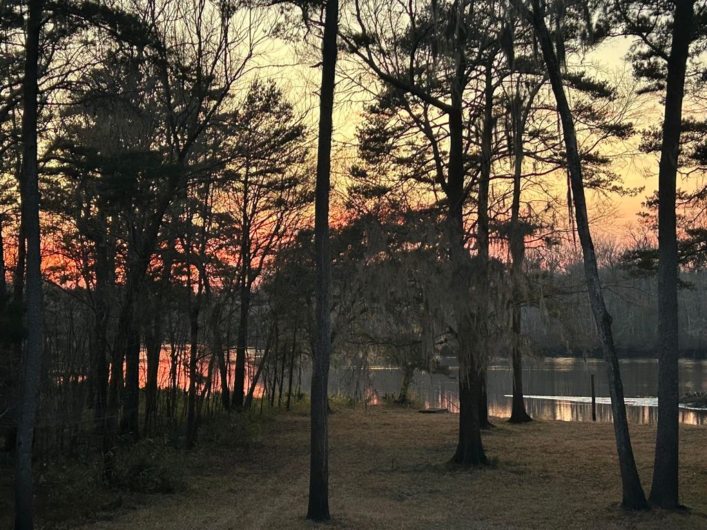 Photo of 9450 Savannah Highway, Adams Run, SC 29426 (MLS # 26002522)