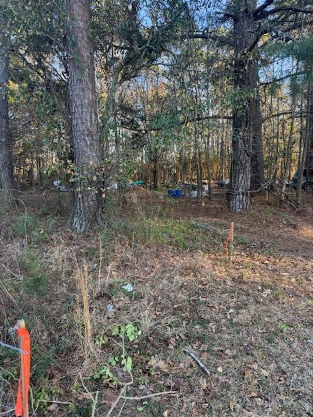 Photo of 0 Central Avenue, Summerville, SC 29483 (MLS # 26004228)