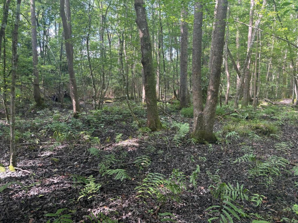 Photo of 0 Back Pen Rd, Johns Island, SC 29455 (MLS # 24015680)