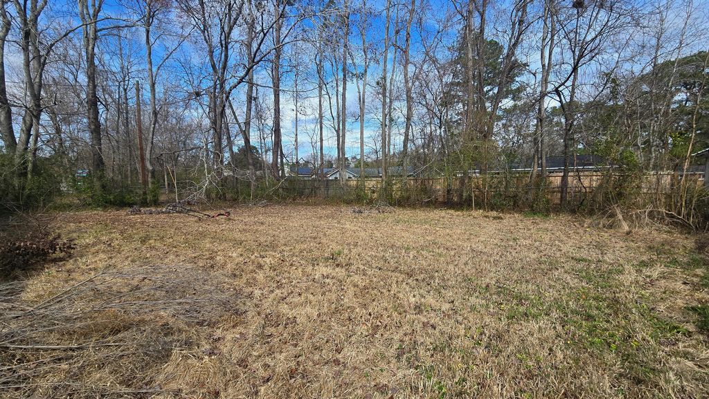 Photo of 421 Sarah Drive, Goose Creek, SC 29445 (MLS # 26014290)
