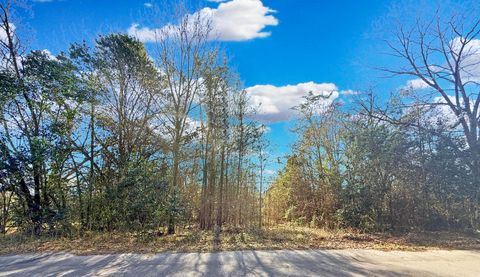 475 Coleman Avenue Orangeburg SC 29115