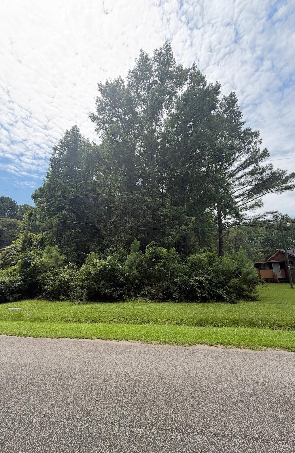 Photo of 1017 Rosa Green Road, Awendaw, SC 29429 (MLS # 26026888)