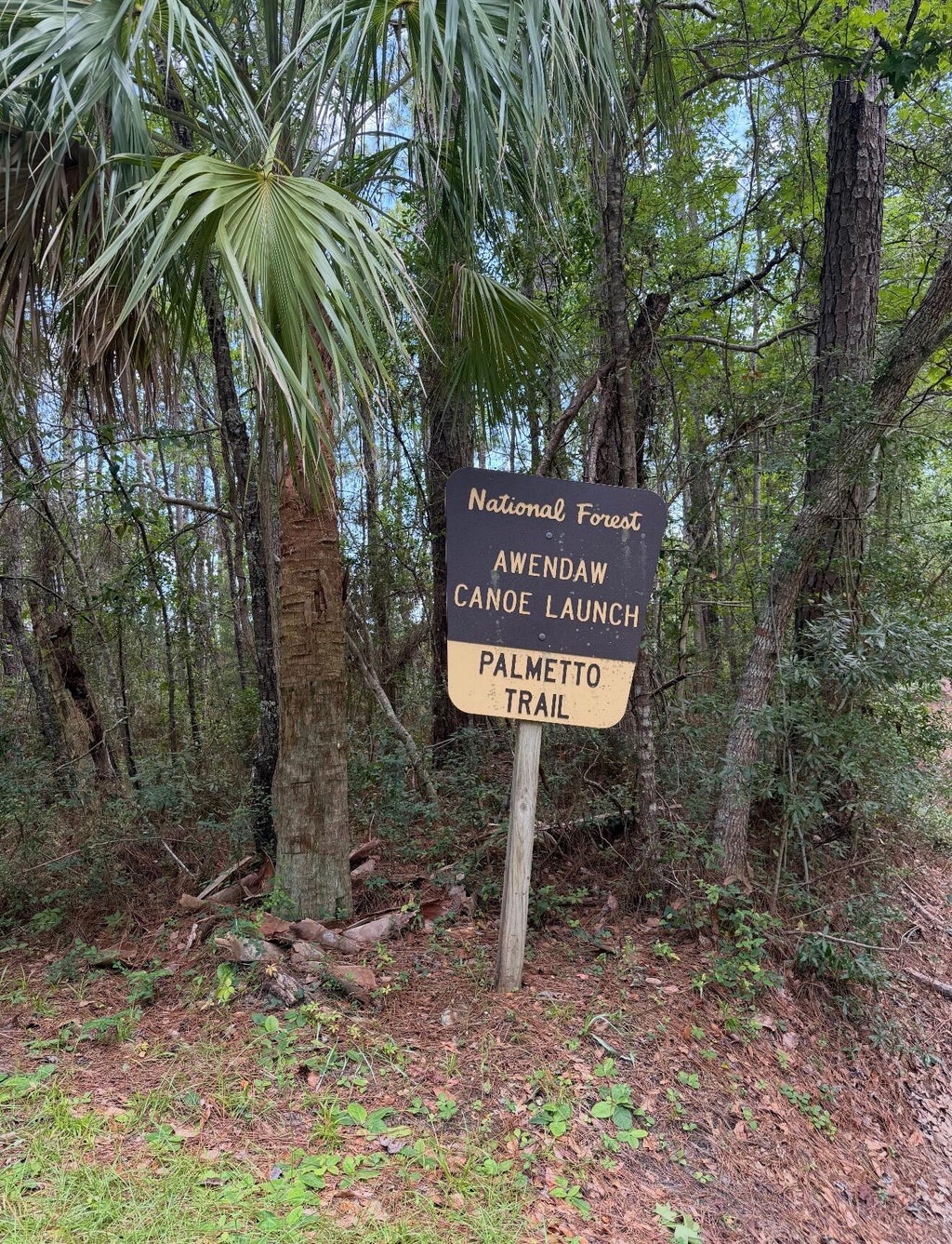 Photo of 1017 Rosa Green Road, Awendaw, SC 29429 (MLS # 26026888)