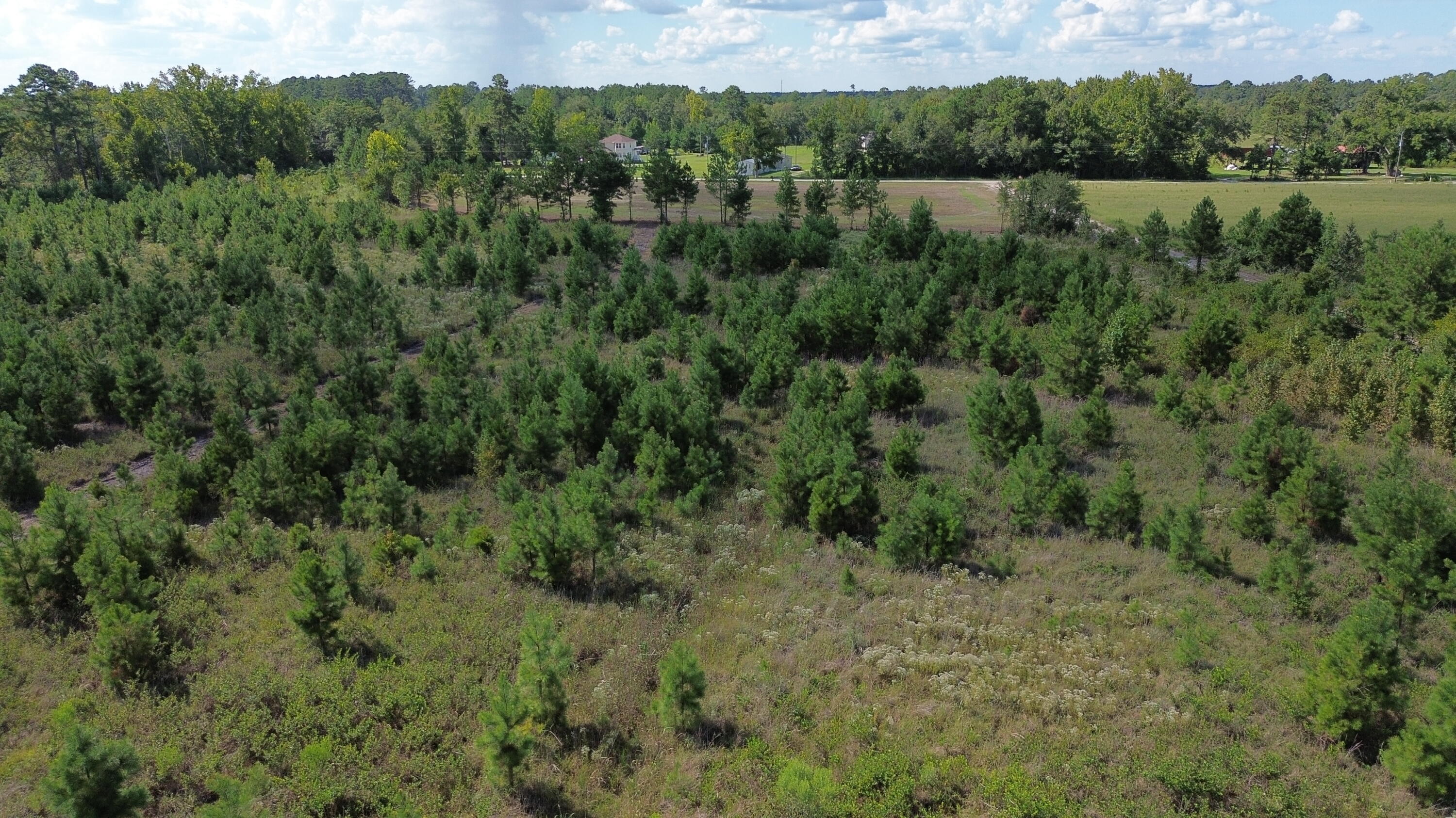 1 Bethel Forest Road