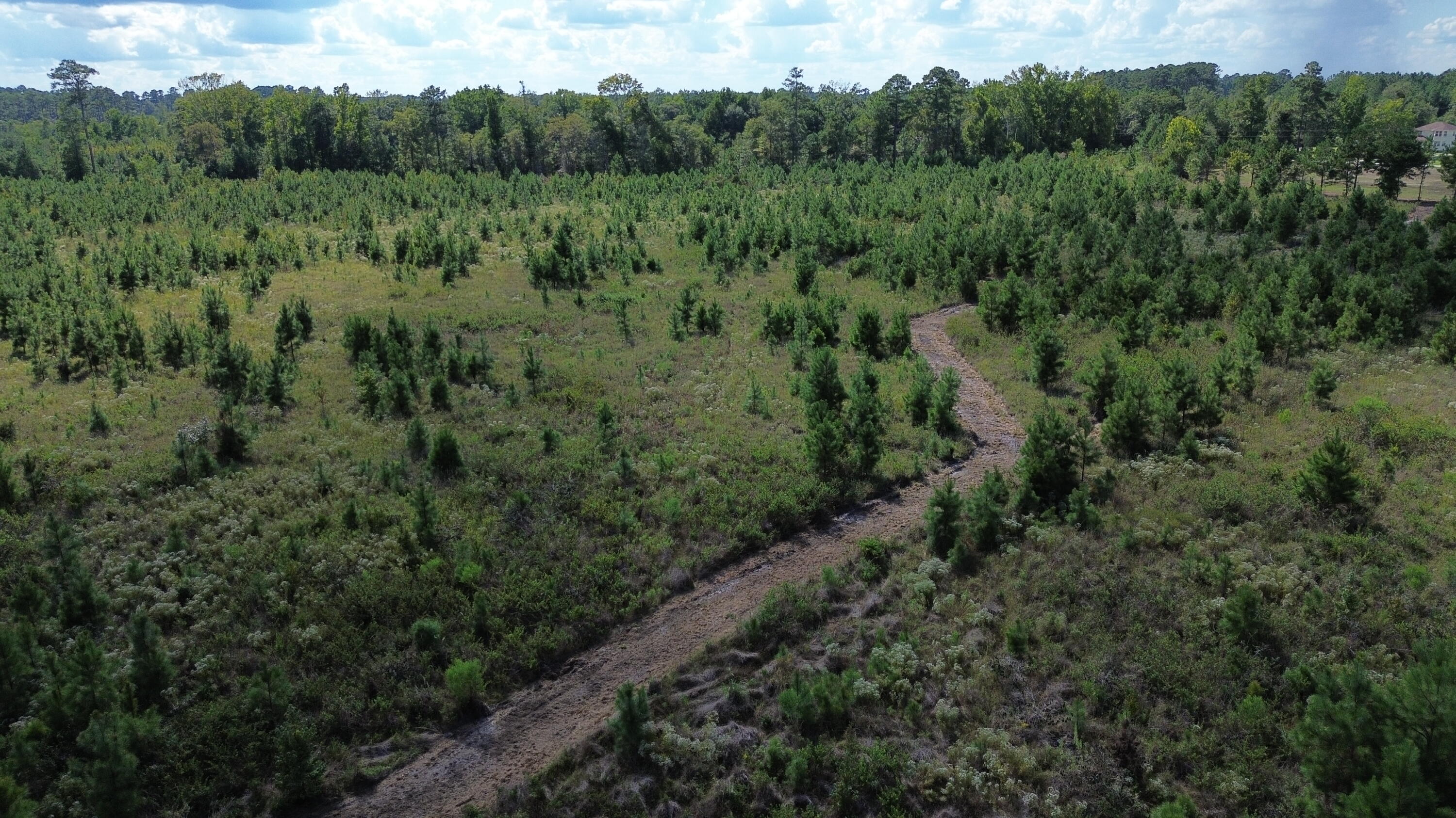 1 Bethel Forest Road