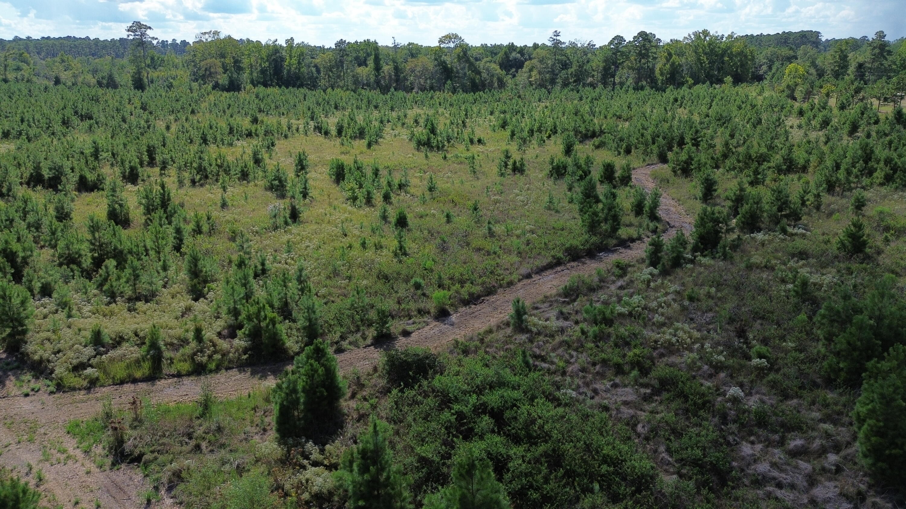 1 Bethel Forest Road