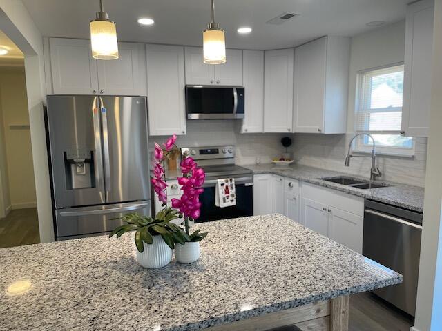 228 Mohican Circle
