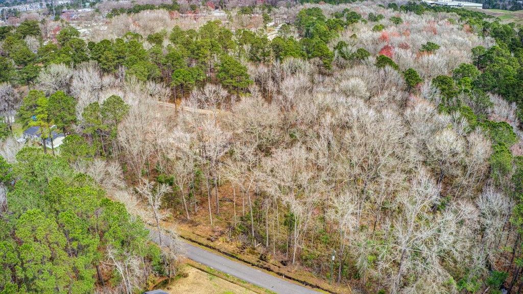 Photo of Lot 175 Tuskegee Drive, North Charleston, SC 29418 (MLS # 25019565)
