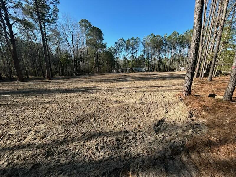 319 Hickory Nut Way