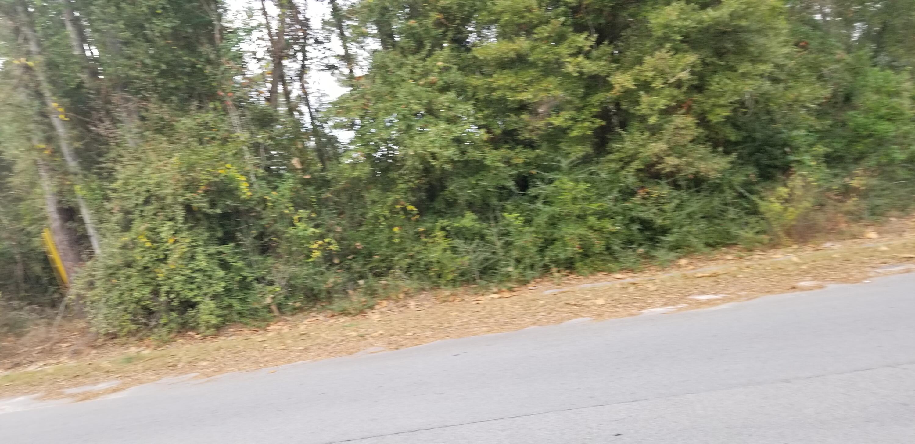 00000 N Lemacks Street