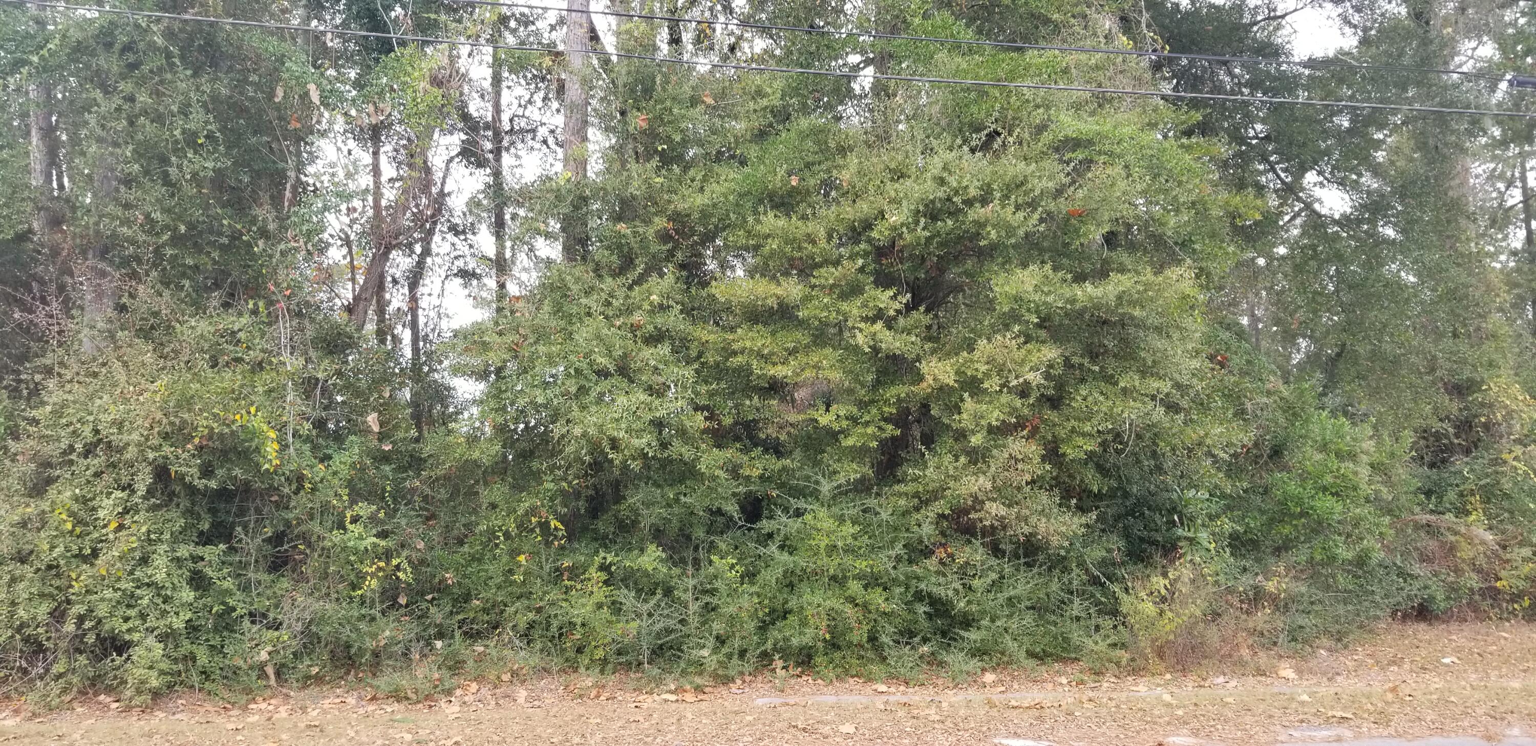 00000 N Lemacks Street