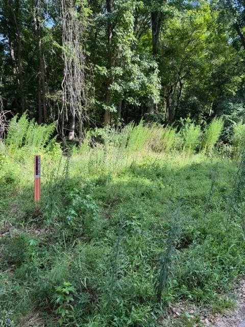 344 Dupre Road, Mcclellanville, SC, 29458