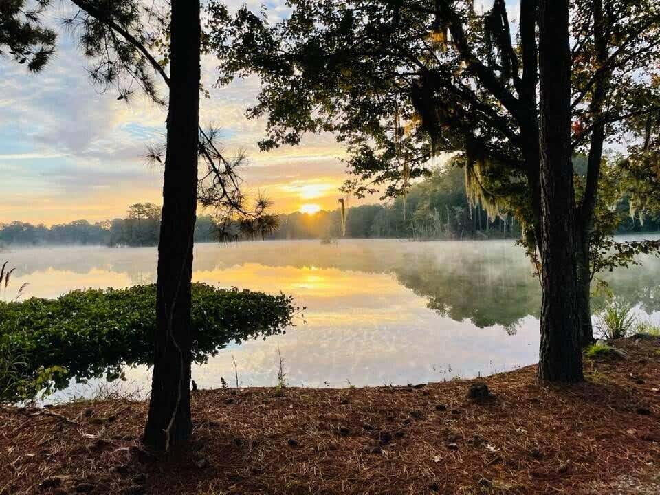 Photo of 196 Sea Oats St, Summerville, SC 29485 (MLS # 26018948)