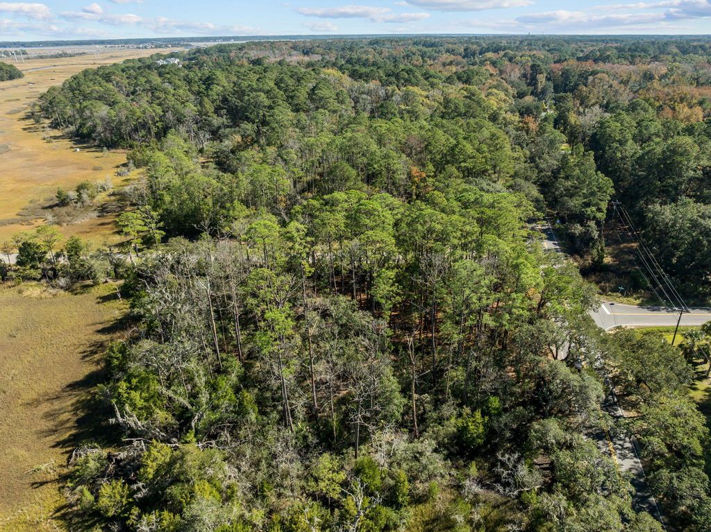 Photo of 0 River Road, Johns Island, SC 29455 (MLS # 25030553)