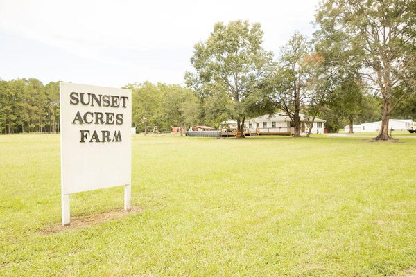 10007 JACKSONBORO RD, COTTAGEVILLE, SC 29435 - Image ac0fbca87d4ad4d4e5d56b488f75459a/1178295217