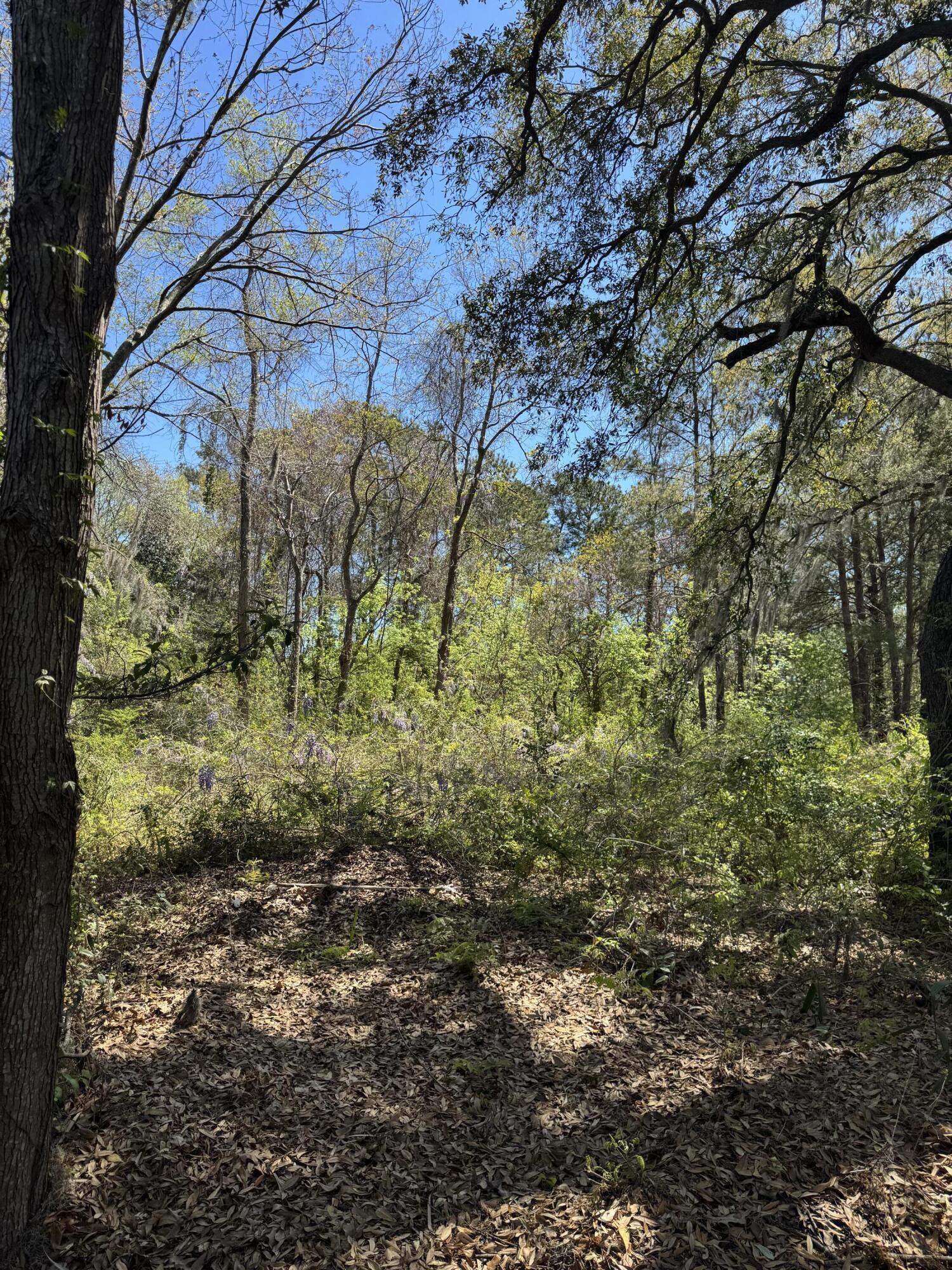 8730 N Park Boulevard