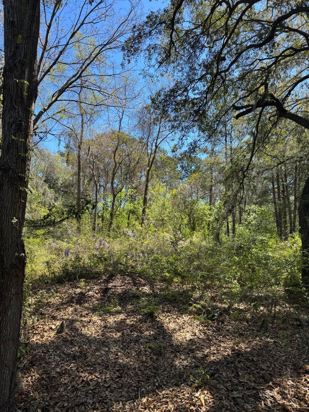 Photo of 8730 N Park Boulevard, North Charleston, SC 29406 (MLS # 26010397)