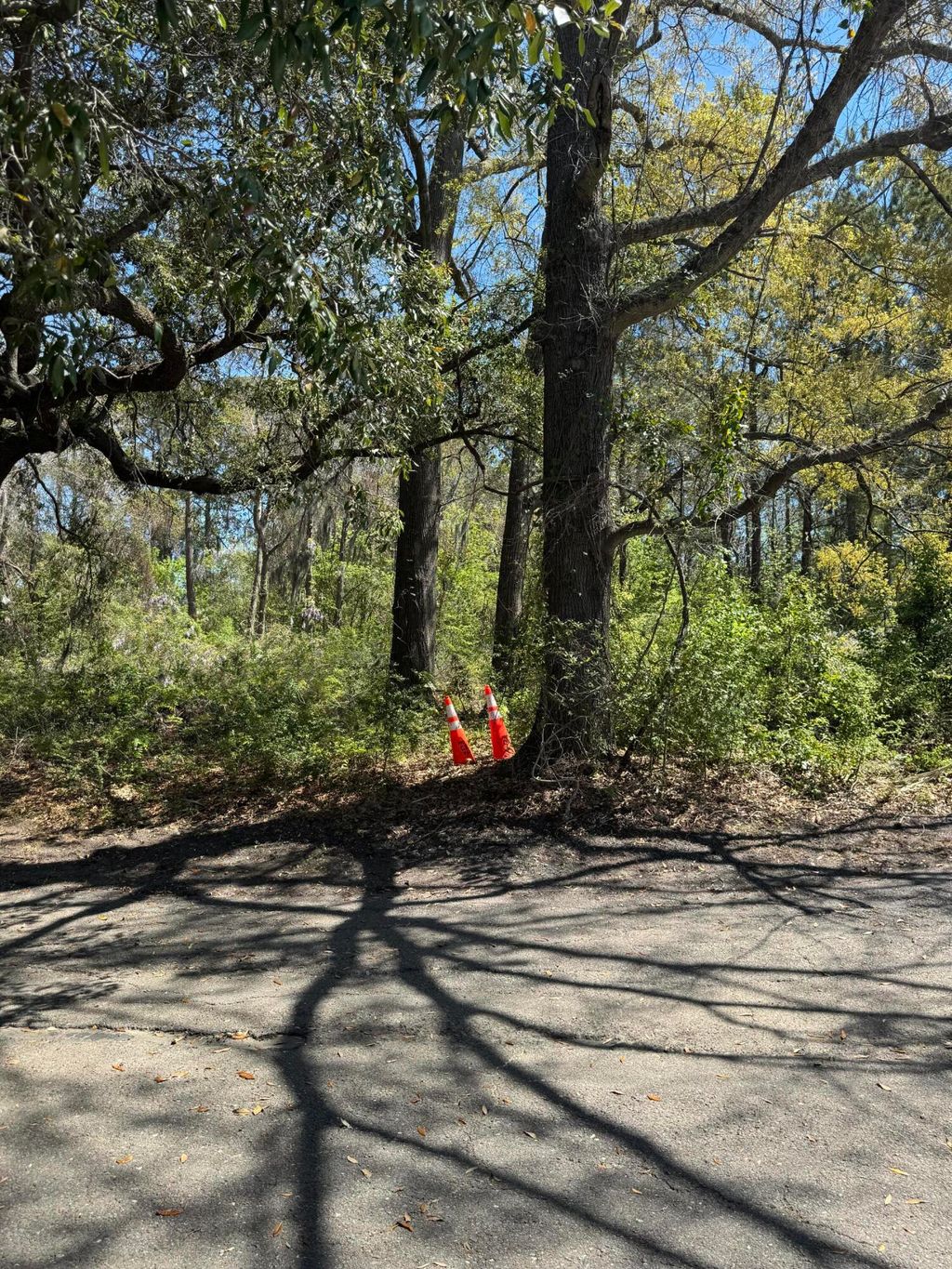 Photo of 8730 N Park Boulevard, North Charleston, SC 29406 (MLS # 26010397)