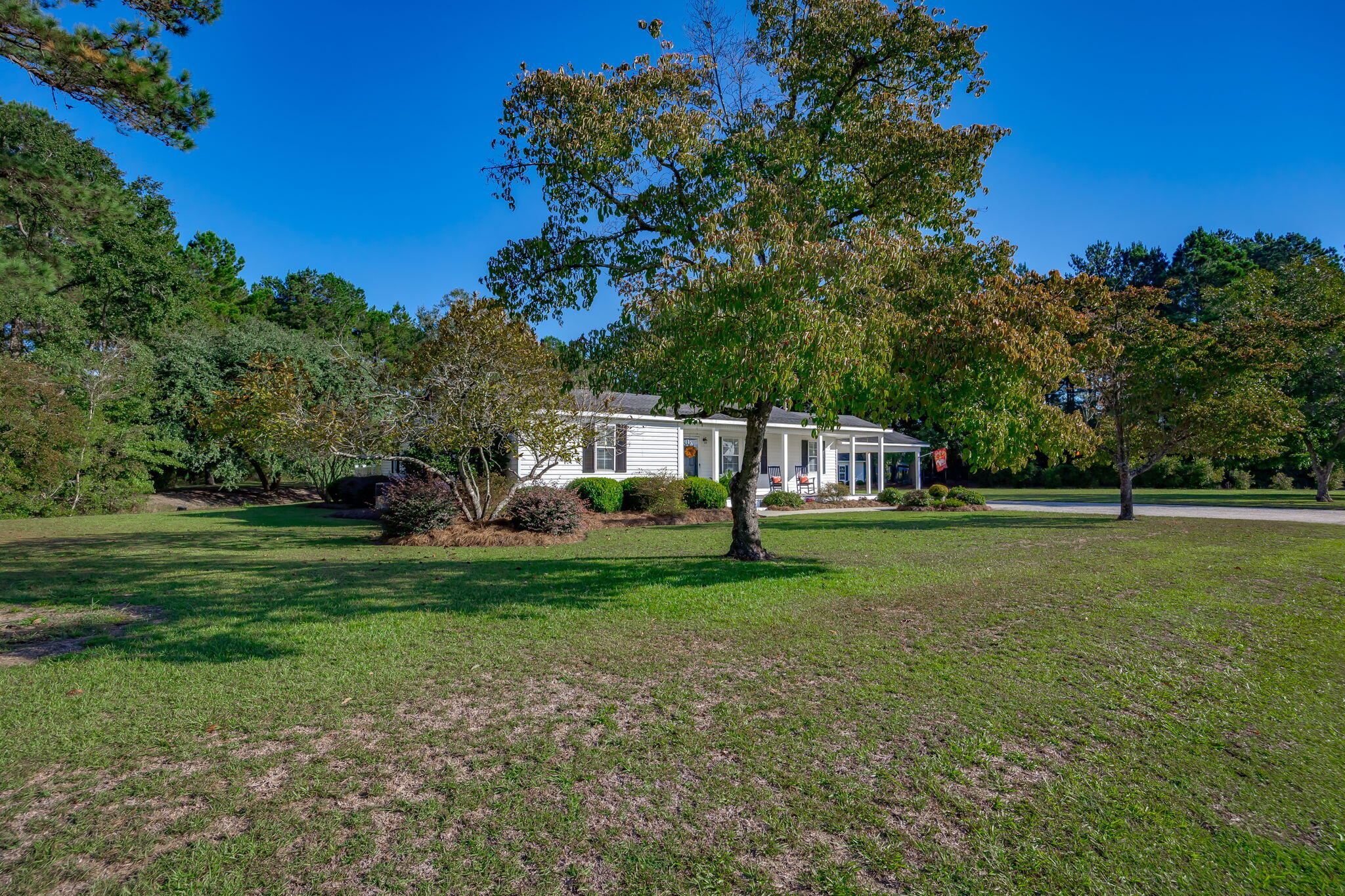 3299 Newman Branch Road