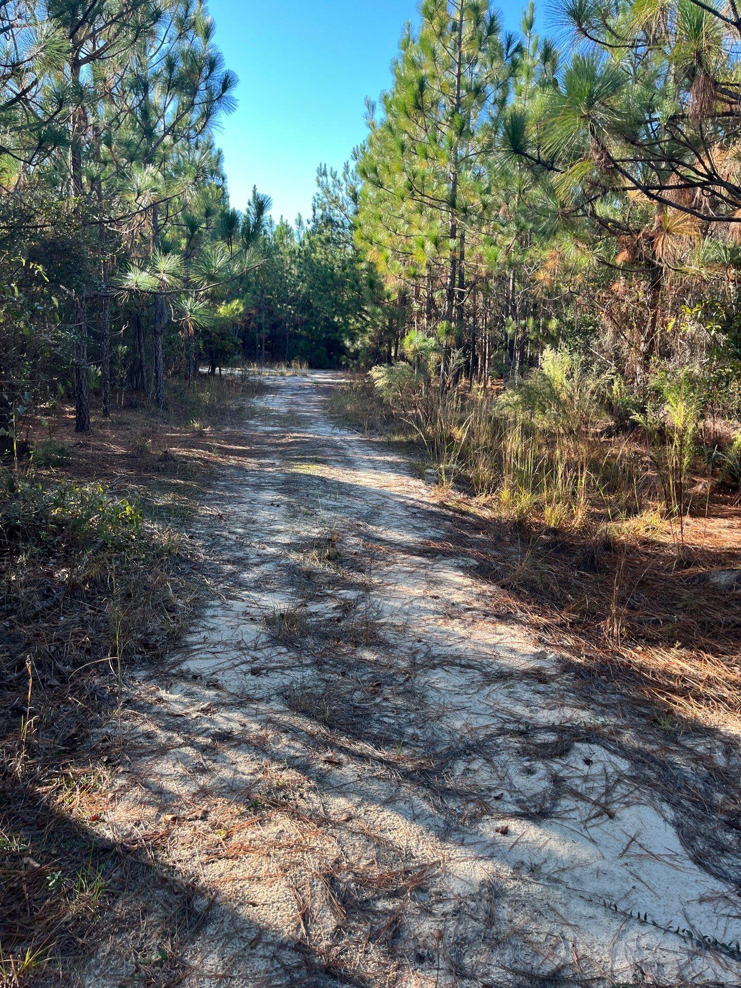 Ppf 12 Payne Pond Road Ppf 12