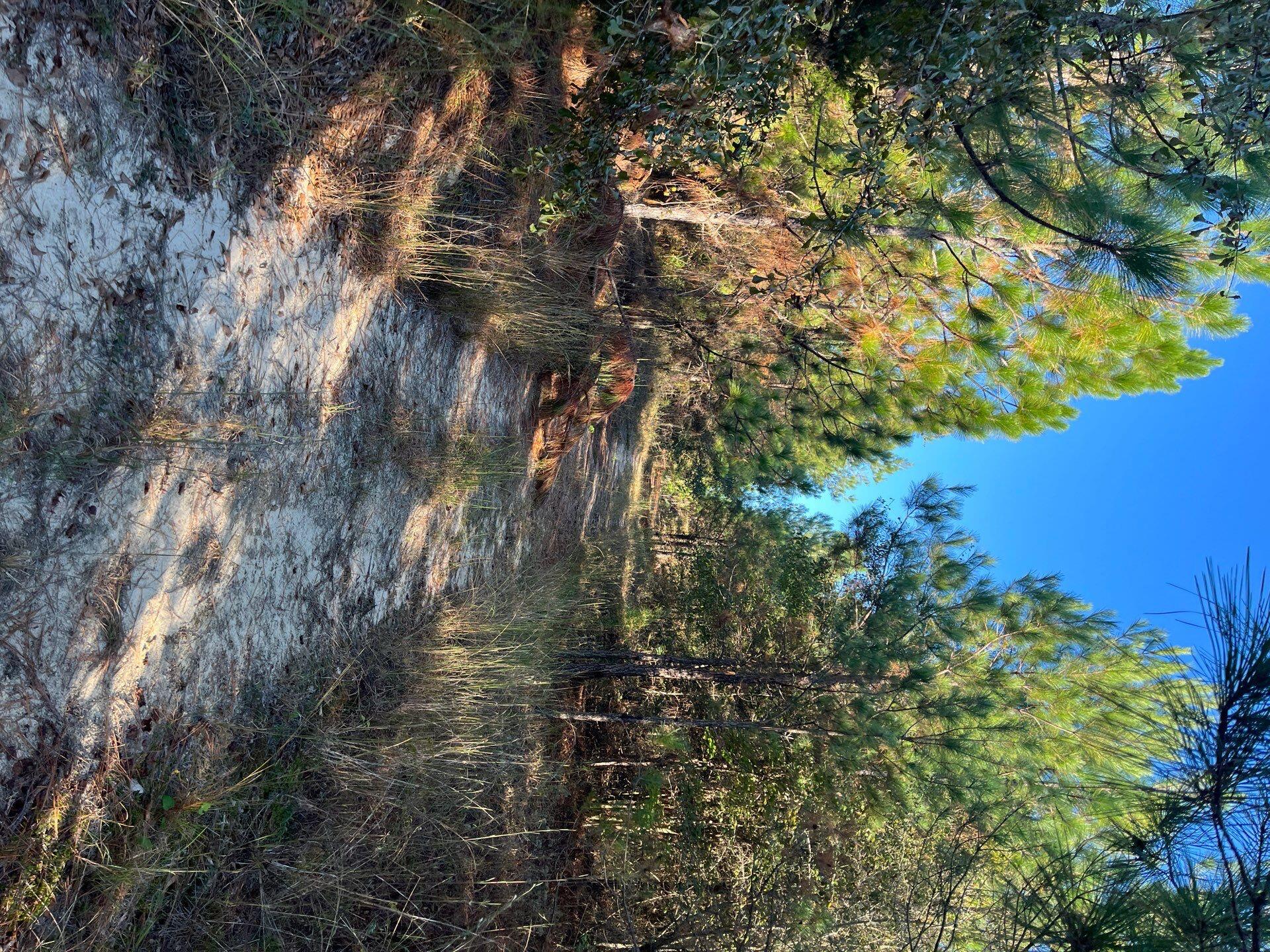 Ppf 12 Payne Pond Road Ppf 12