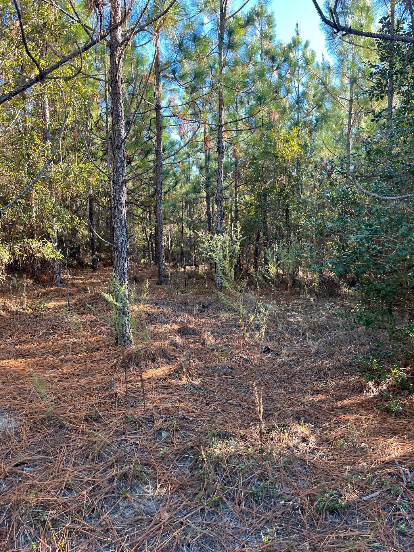 Ppf 12 Payne Pond Road Ppf 12