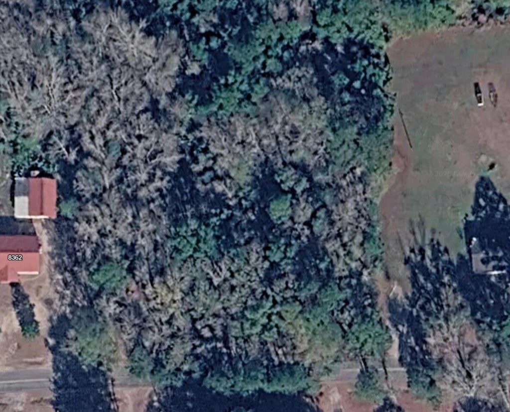 Photo of 8354 Sugar Hill Road, Adams Run, SC 29426 (MLS # 26025296)