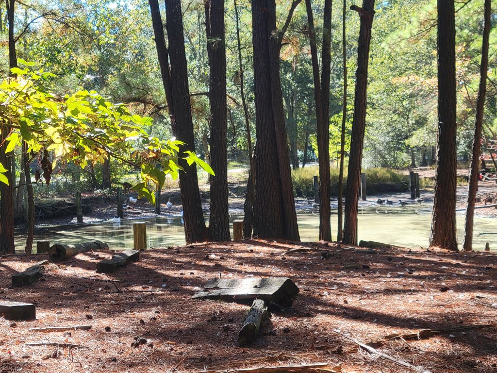 Photo of 400 Murray Boulevard, Summerville, SC 29483 (MLS # 25001613)