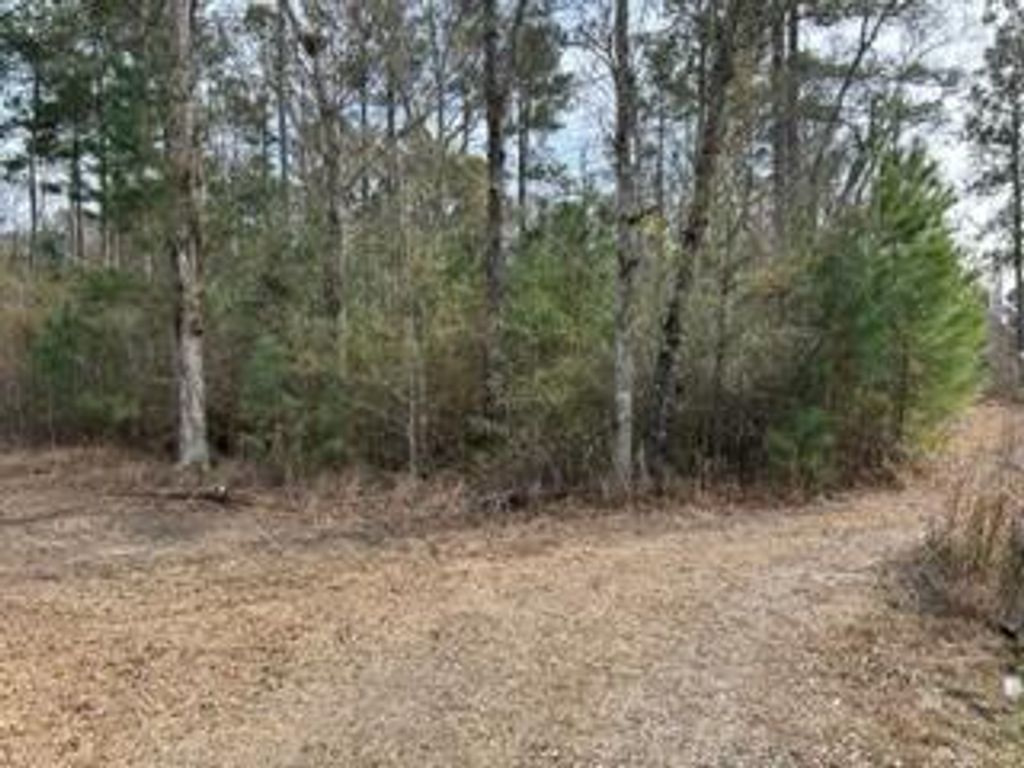 Photo of 0 Gallashaw Road, Summerville, SC 29483 (MLS # 24003464)