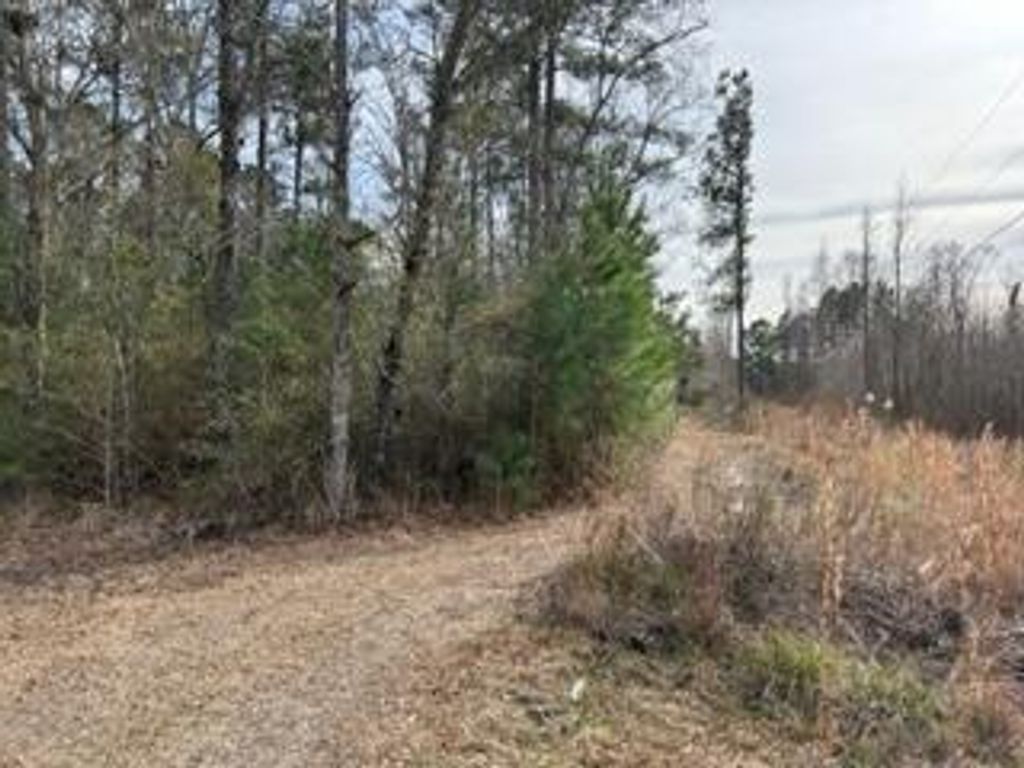 Photo of 0 Gallashaw Road, Summerville, SC 29483 (MLS # 24003464)