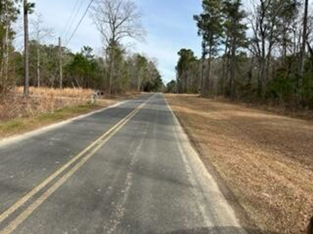 Photo of 0 Gallashaw Road, Summerville, SC 29483 (MLS # 24003464)