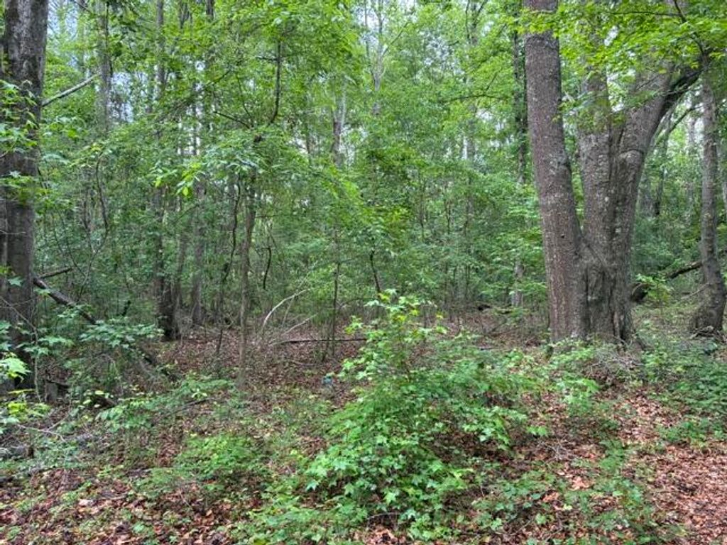 Photo of 0 Joyous Way, Moncks Corner, SC 29461 (MLS # 26013356)