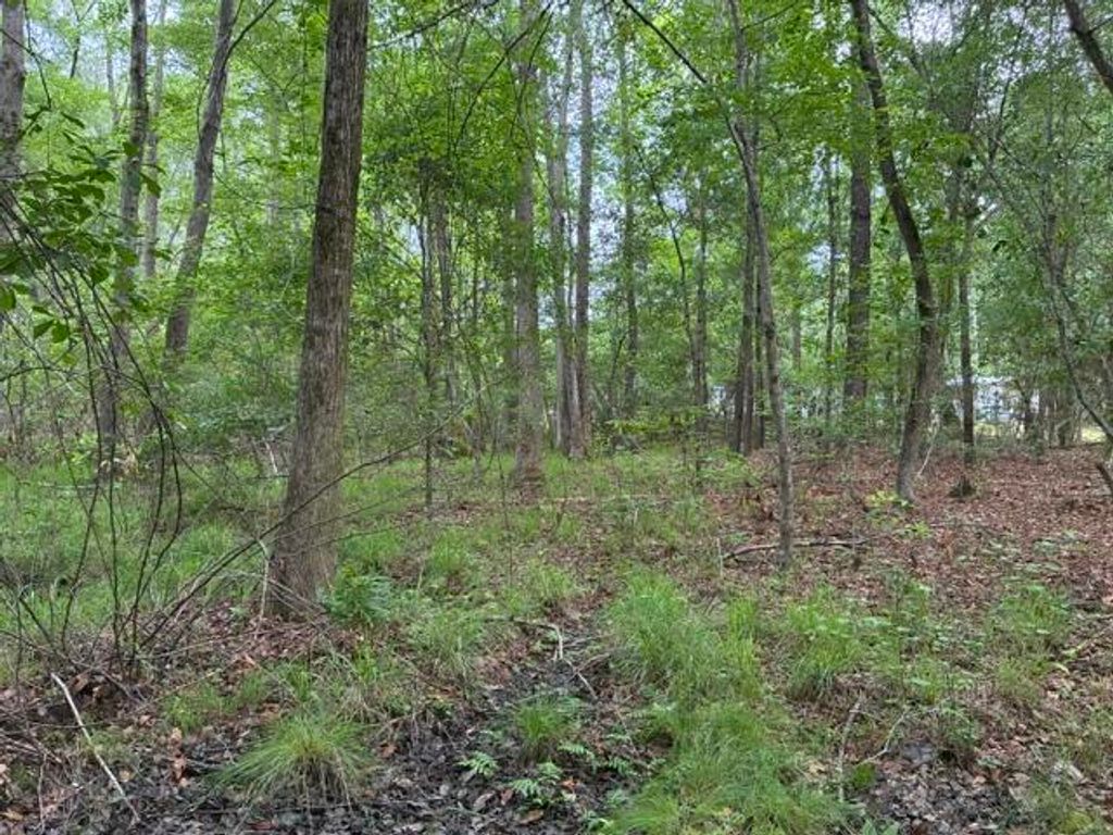 Photo of 0 Joyous Way, Moncks Corner, SC 29461 (MLS # 26013356)