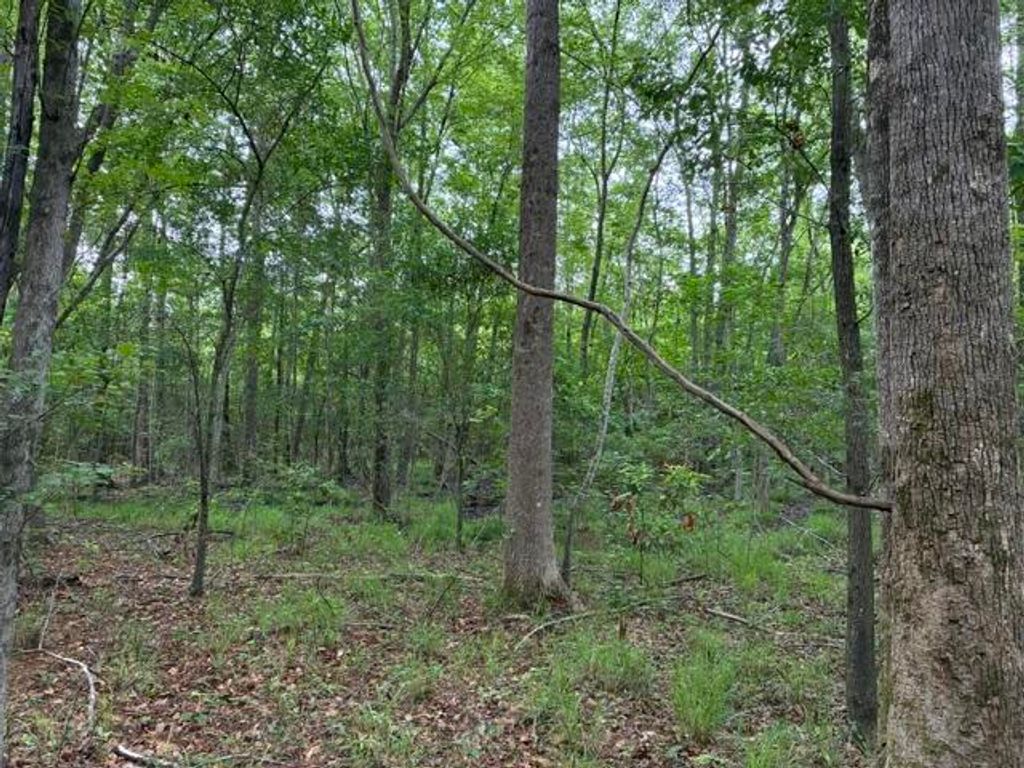 Photo of 0 Joyous Way, Moncks Corner, SC 29461 (MLS # 26013356)