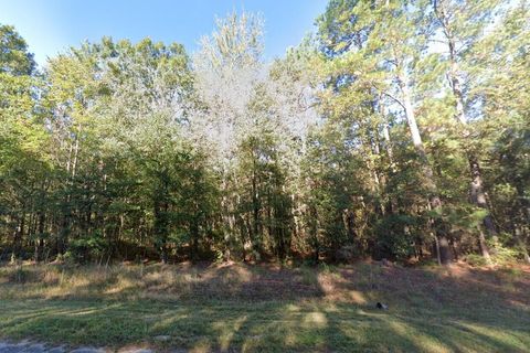 0 Thirty Five Mile Road Ridgeville SC 29472