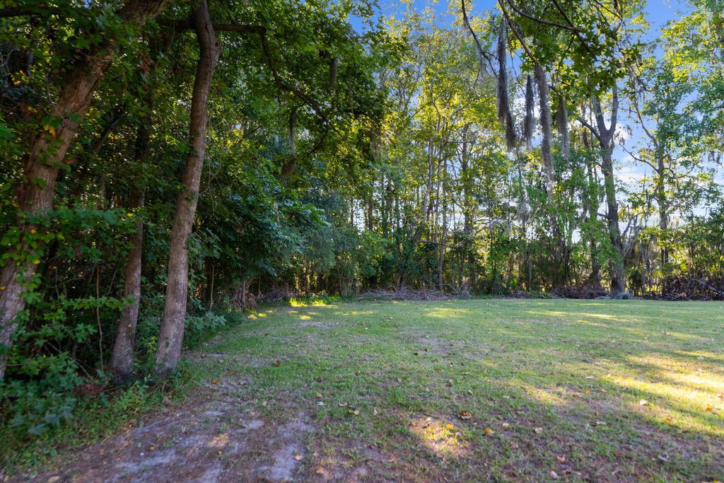 Photo of 736 Savage Road, Charleston, SC 29414 (MLS # 25027484)