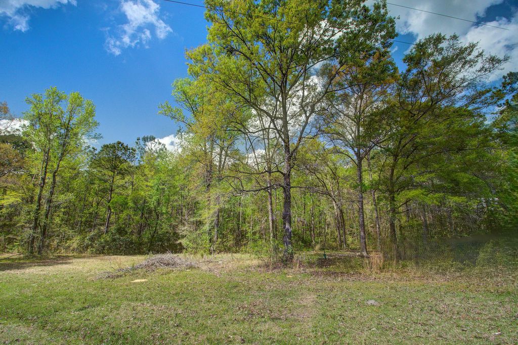 Photo of 5865 Octavia Ave, Ravenel, SC 29470 (MLS # 26009071)