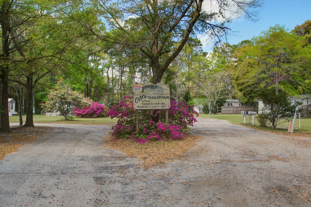 Photo of 5865 Octavia Ave, Ravenel, SC 29470 (MLS # 26009071)