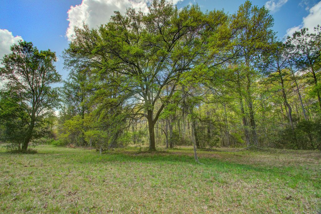 Photo of 5865 Octavia Ave, Ravenel, SC 29470 (MLS # 26009071)