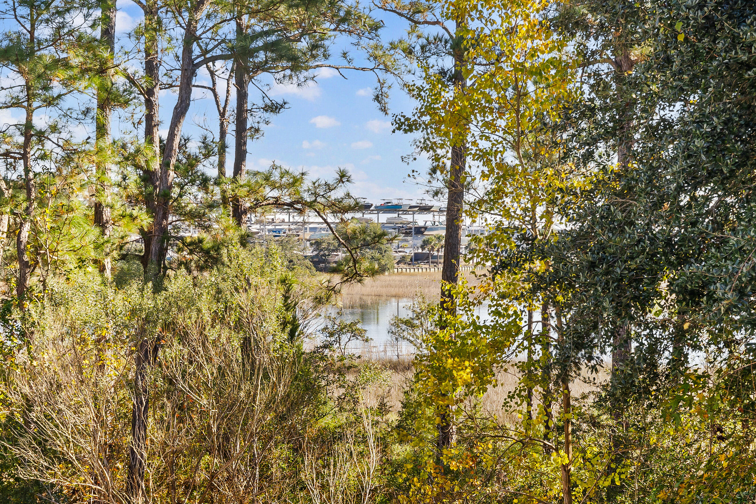 1131 Oak Bluff Avenue