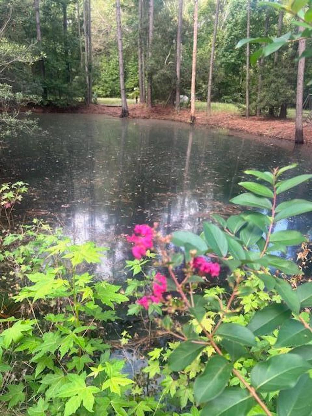 Photo of 7810 Turtle Hill Lane, Edisto Island, SC 29438 (MLS # 24007061)