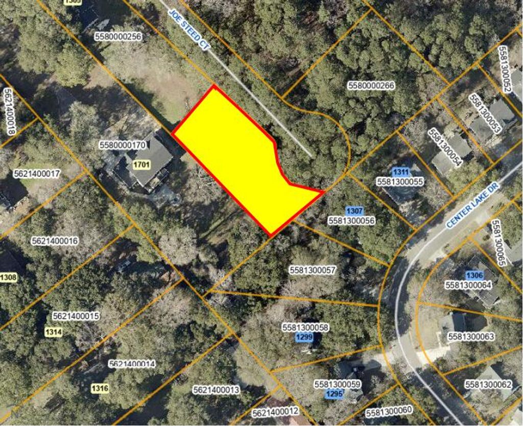 Photo of 1311 Joe Steed Court, Mount Pleasant, SC 29464 (MLS # 25023949)