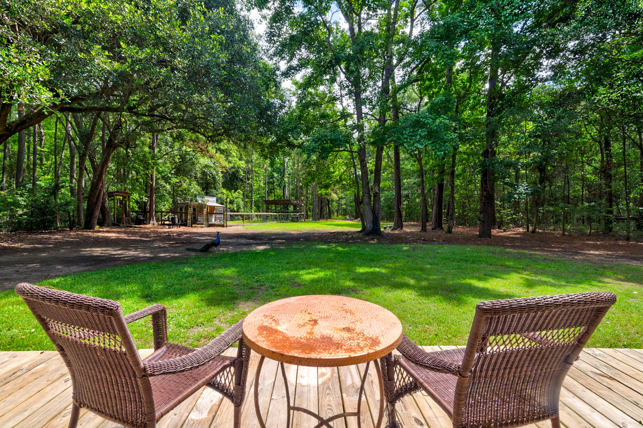 1384 Tibwin Road