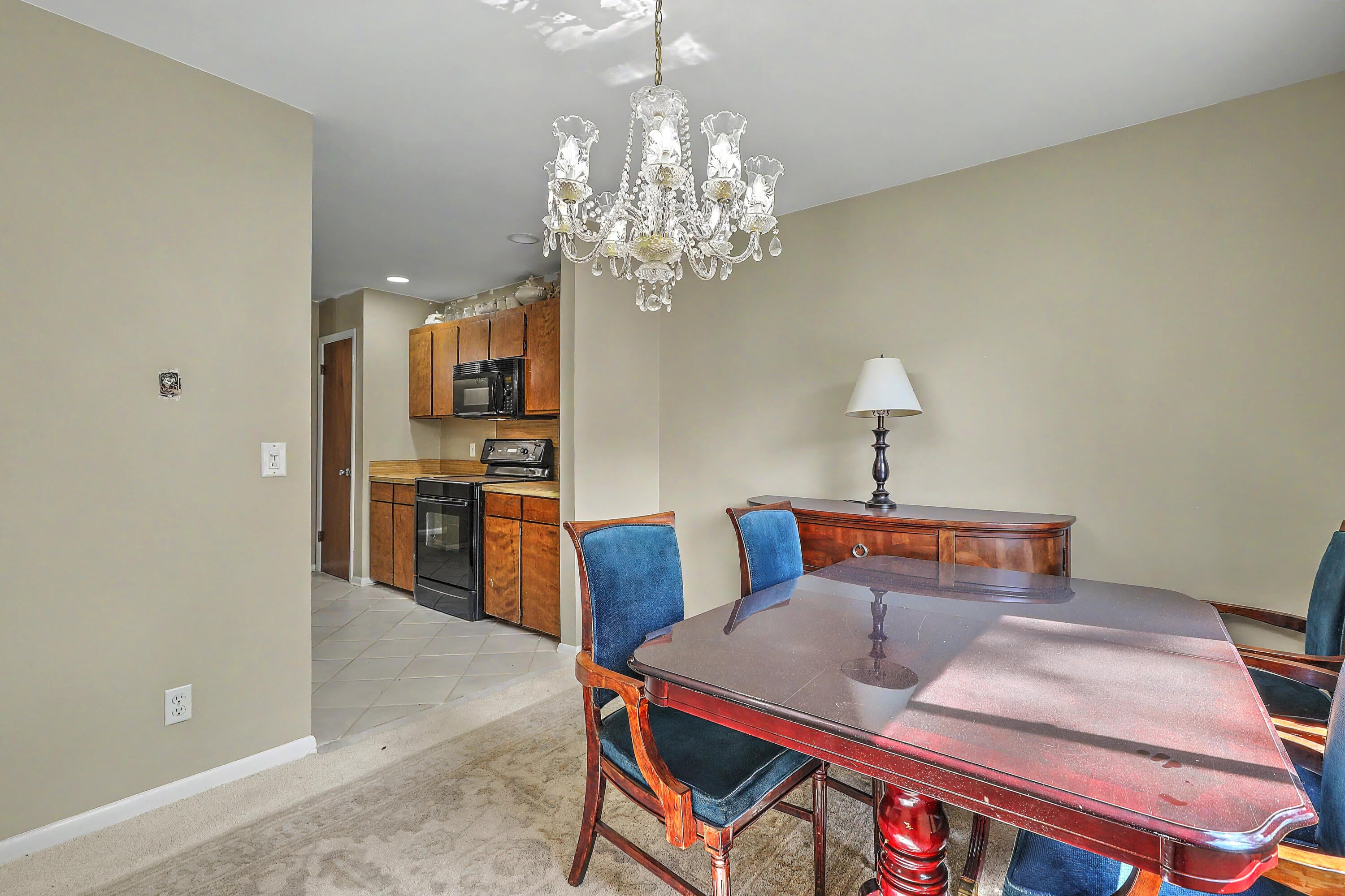 1203 Village Creek Lane 4