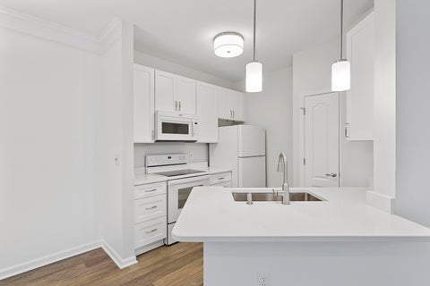 Featured picture for the property 24001077