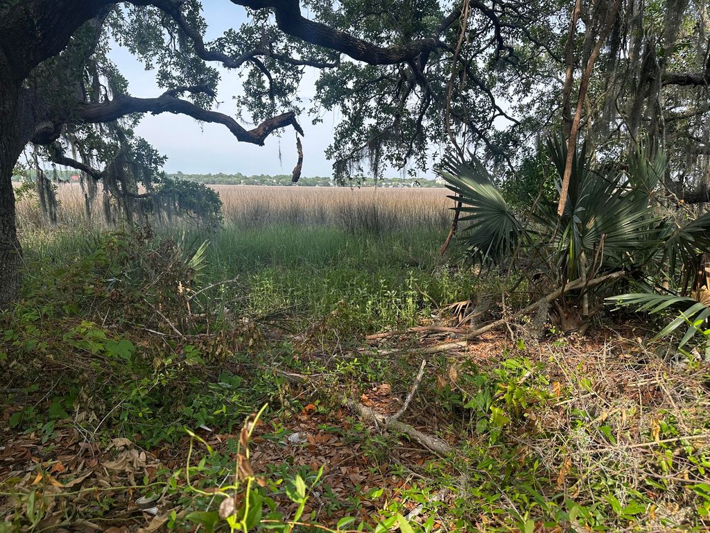 Photo of 2342 Parsonage Road, Charleston, SC 29414 (MLS # 25013836)