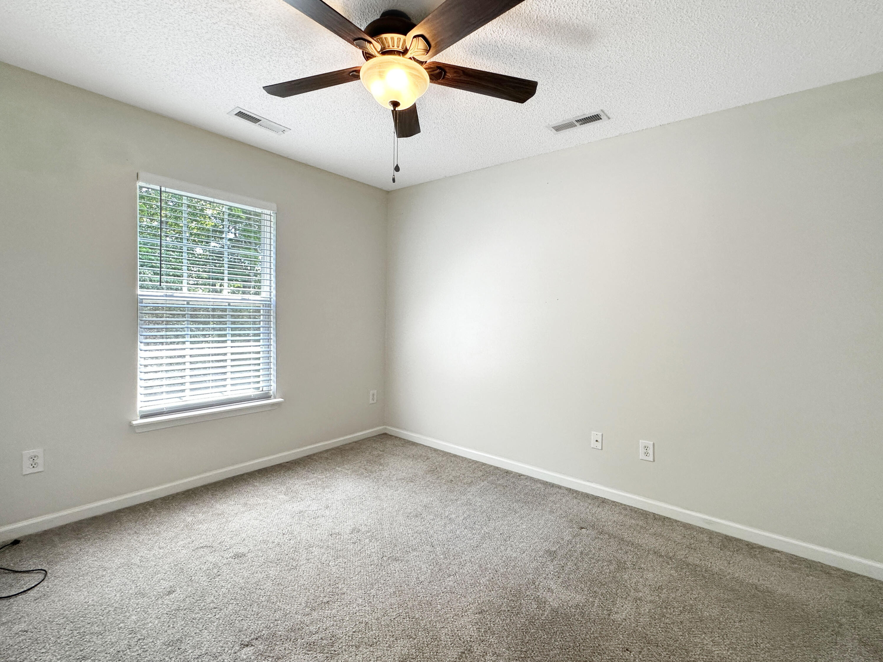 Photo 22 of 25 of 129 Lynches River Drive townhome