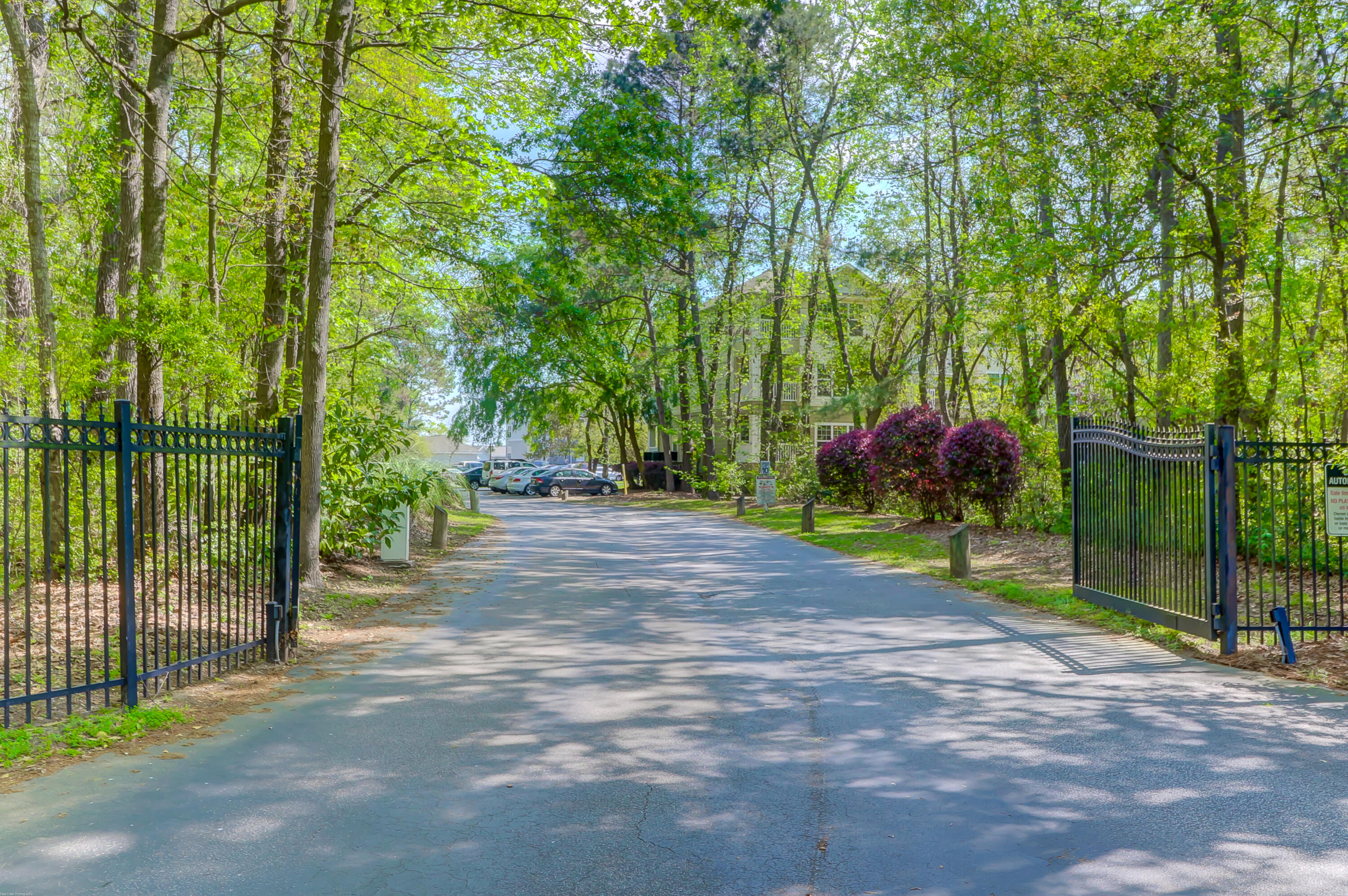 700 Daniel Ellis Drive 14206