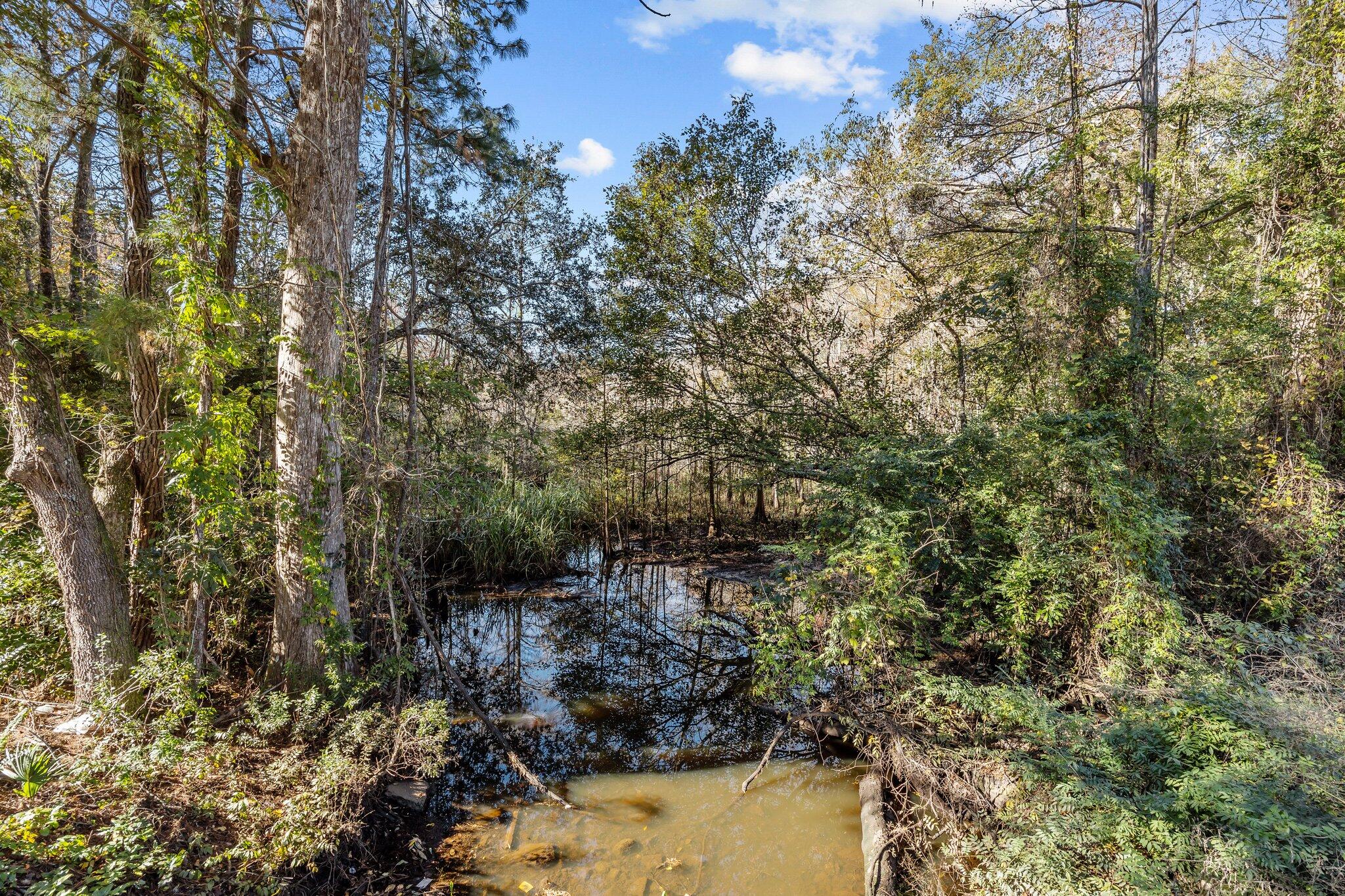 McClellanville, South Carolina 29458, United States, ,Land,Active,251812